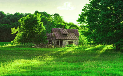 Naturelle Homme Fleuressence